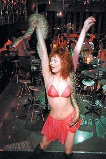 与蛇共舞电影在线观看,惊心动魄的生态奇观  第3张